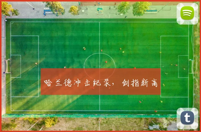 哈兰德冲击纪录，剑指新高