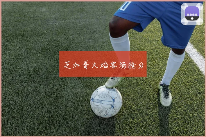 芝加哥火焰客场抢分