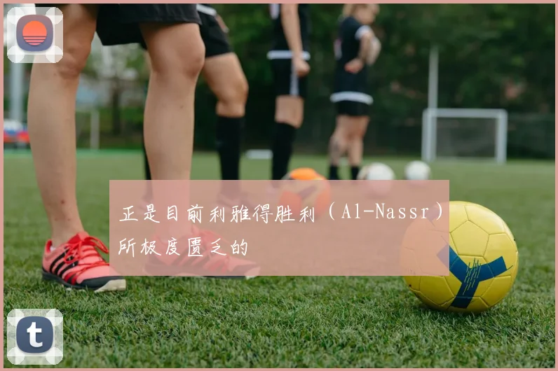 正是目前利雅得胜利（Al-Nassr）所极度匮乏的