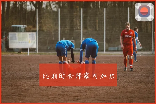 比利时会师塞内加尔