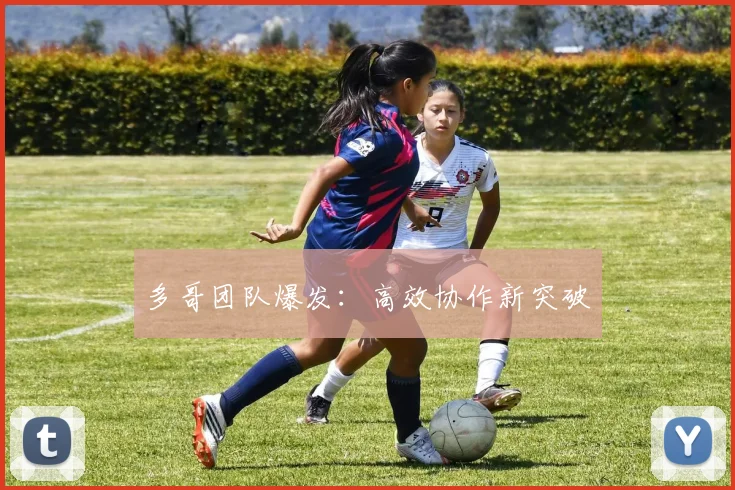 多哥团队爆发：高效协作新突破
