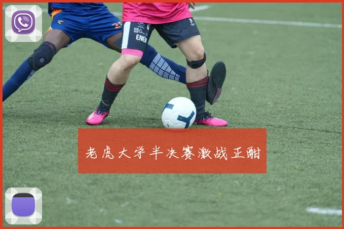老虎大学半决赛激战正酣