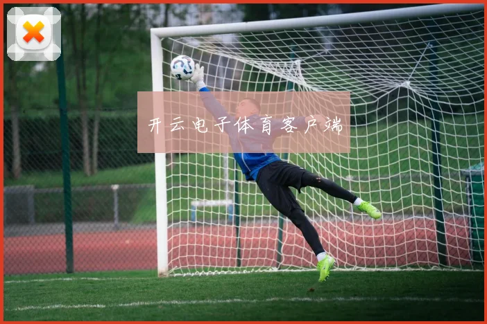 开云电子体育客户端