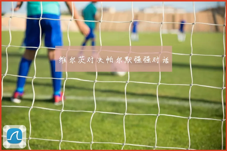 维尔茨对决帕尔默强强对话