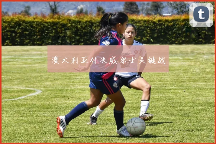 澳大利亚对决威尔士关键战