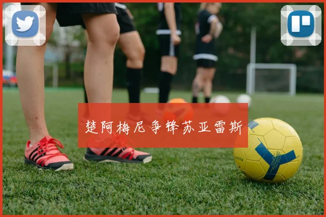 楚阿梅尼争锋苏亚雷斯