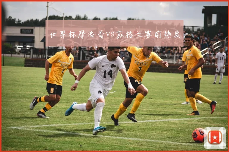 世界杯摩洛哥vs苏格兰赛前热度