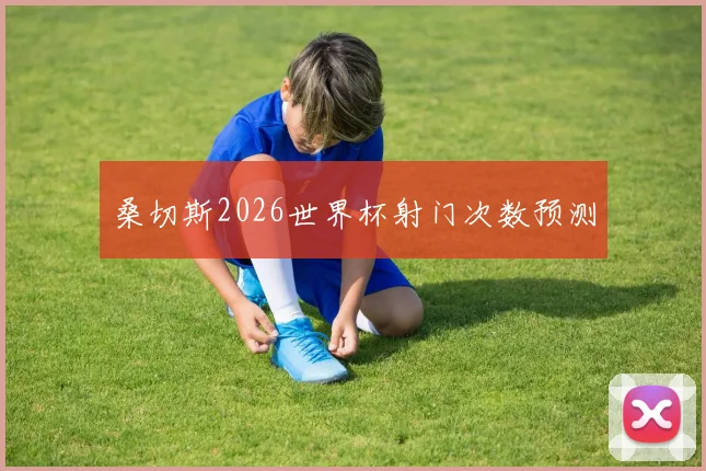 桑切斯2026世界杯射门次数预测