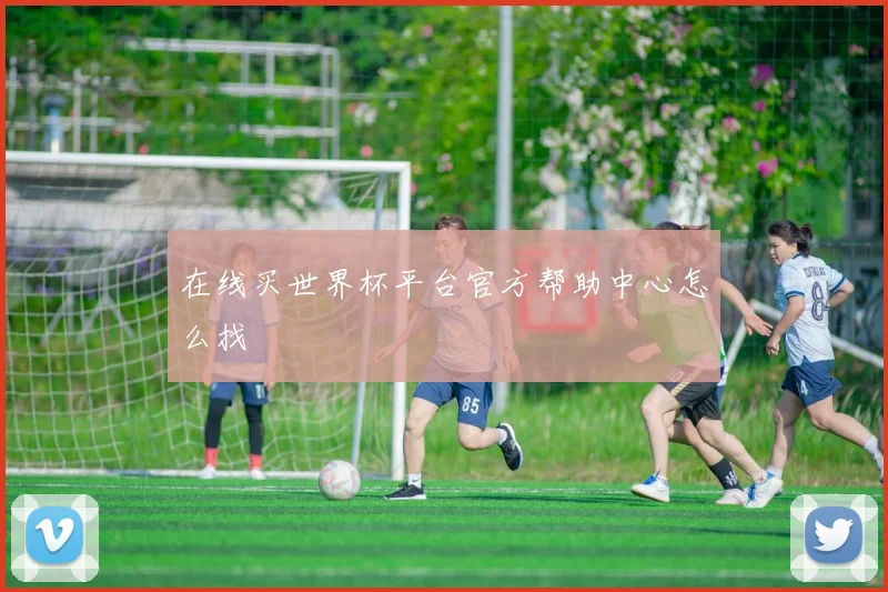 在线买世界杯平台官方帮助中心怎么找