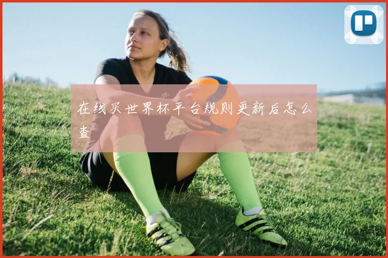 在线买世界杯平台规则更新后怎么查