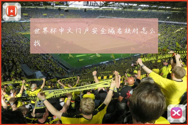 世界杯中文门户安全域名核对怎么找
