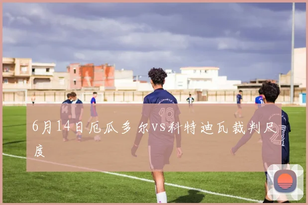 6月14日厄瓜多尔vs科特迪瓦裁判尺度